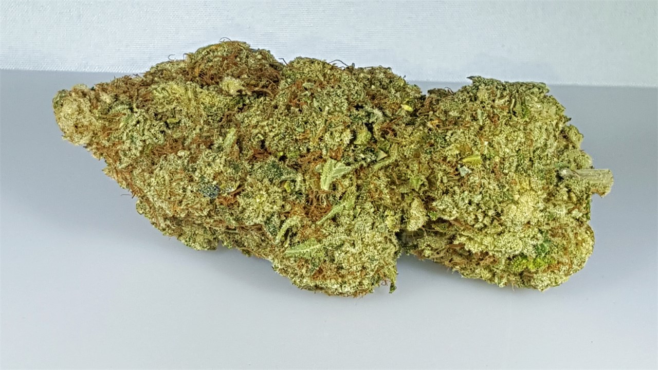 Everything You Need to Know About Island Sweet Skunk