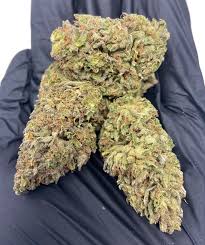 Candy Jack in US