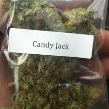 Candy Jack for Sale
